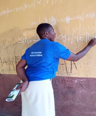 Household numbering by a data collector