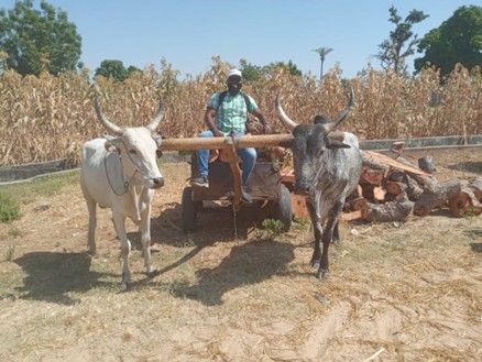 State coordinator enroute to hard-to-reach community for supervision
